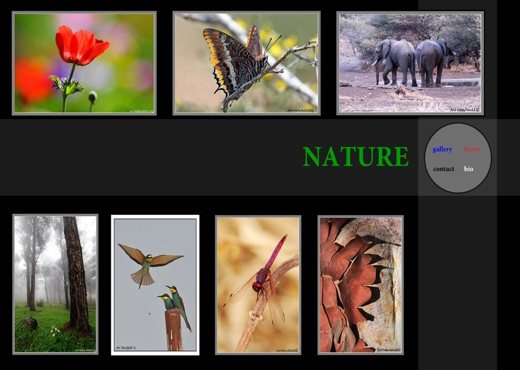 nature gallery
